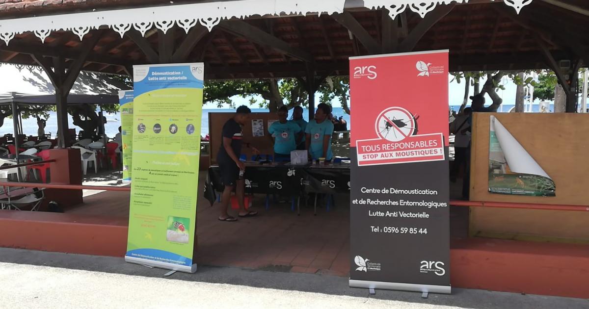 La traque au moustique pour éviter l'épidémie de dengue