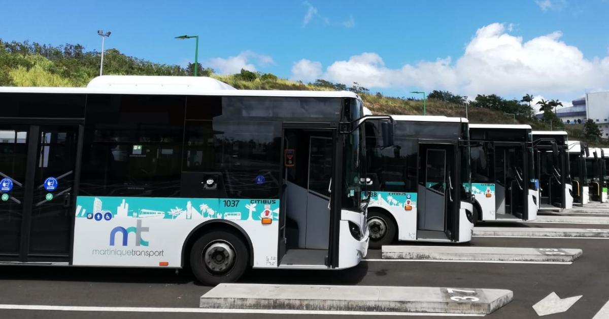 Les chauffeurs de bus restent mobilisés à Schoelcher