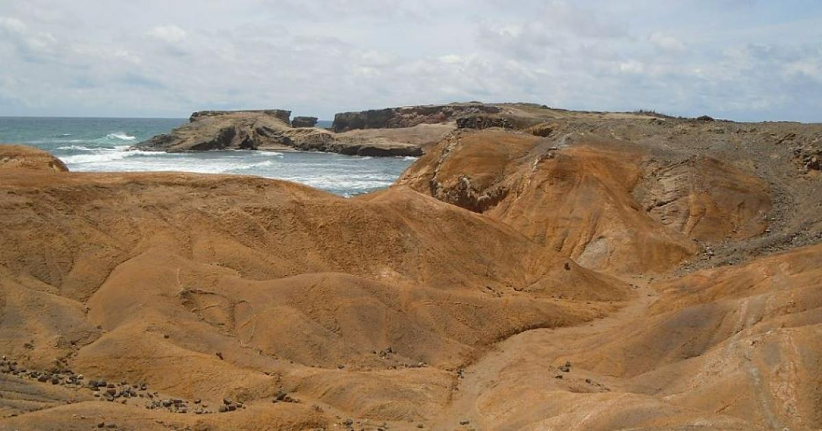     





L'accès à la falaise de la Savane des pétrifications est interdit




