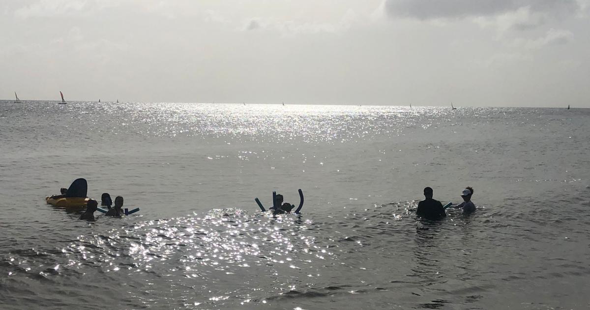 De la natation pour des patients victimes d'AVC
