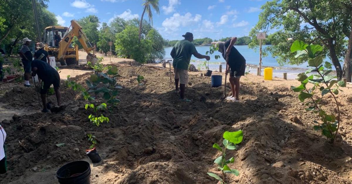 Une action écologiste est en cours sur la plage des Salines