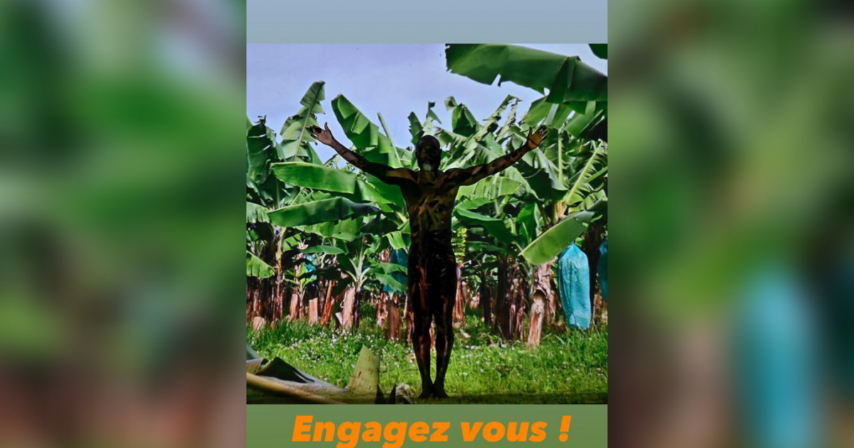 Des modèles photos recherchés pour un projet sur le chlordécone