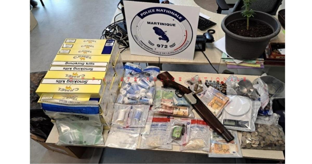 Interpellation de 4 personnes à la tête d’un trafic de drogue à Fort-de-France