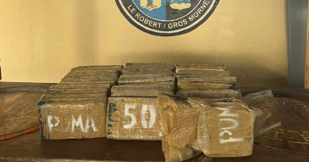 La gendarmerie de Martinique enchaîne les interpellations depuis une semaine
