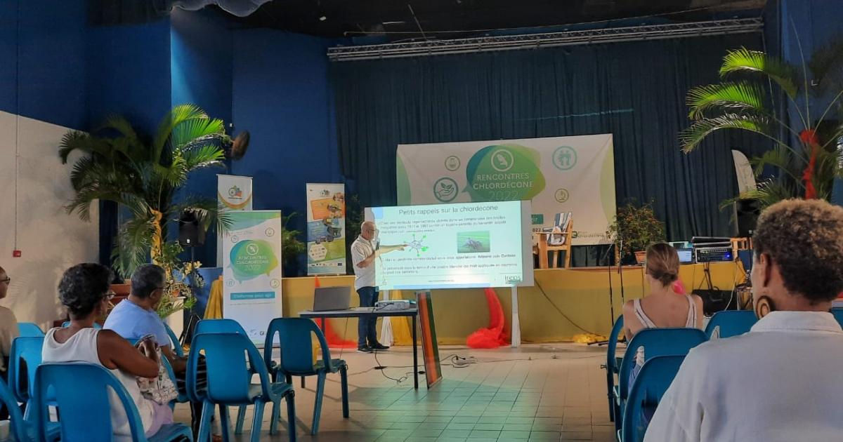 Des ateliers de sensibilisation autour de la présence du chlordécone dans les jardins