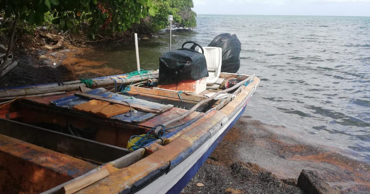 La côte atlantique touchée par les sargasses