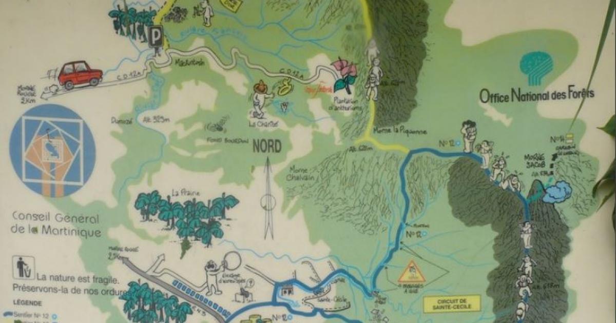     





Un couple de touristes secouru au Morne-Rouge durant la nuit





