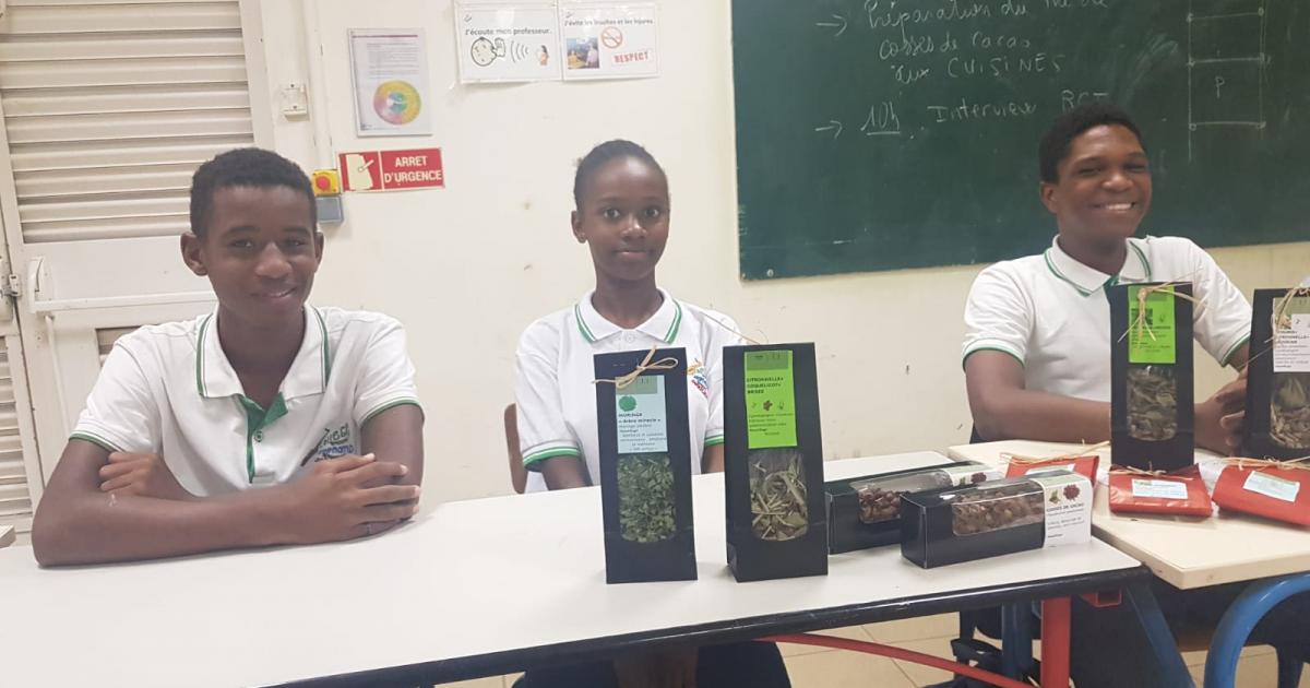     





Fort-de-France : des collégiens présentent un thé de cosse de cacao au village du cacao et du chocolat




