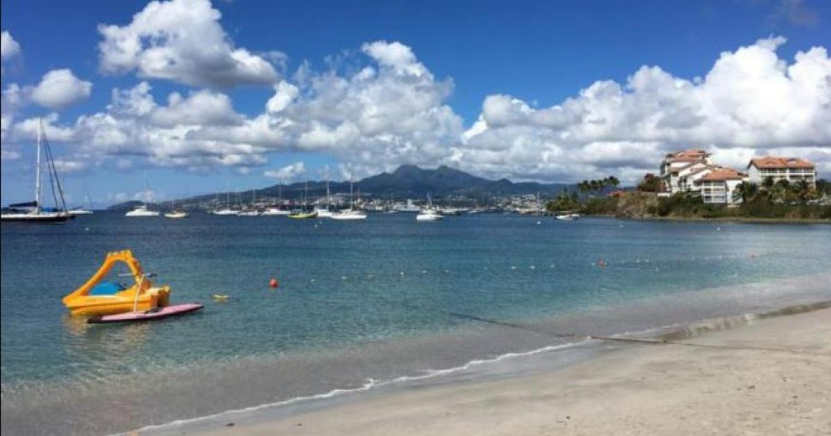     





Anse Mitan : le poste de refoulement remis en service, la baignade toujours interdite




