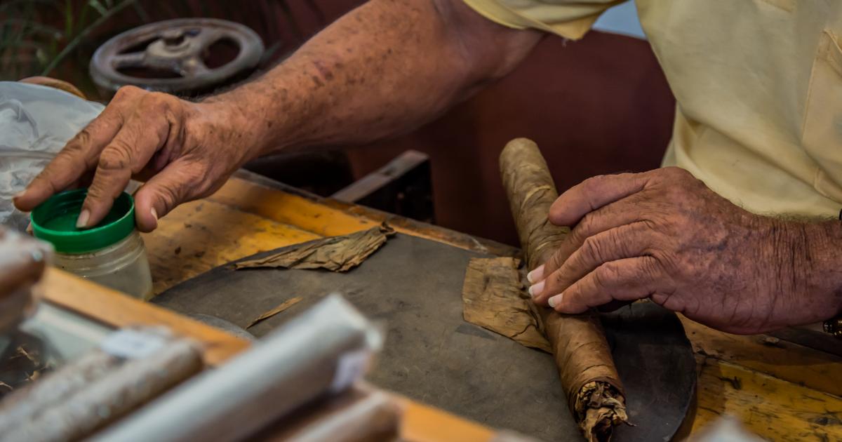 Les exportations de cigares cubains sont en hausse