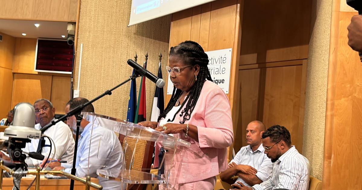 La Collectivité Territoriale de Martinique reconnaît le créole comme « langue officielle »