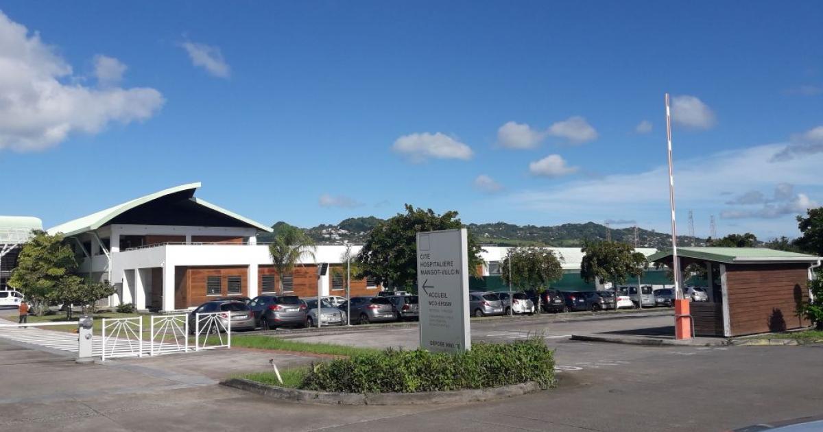 Troubles psychiatriques : « En Martinique, une file active de 2000 patients suivis à l’extérieur »