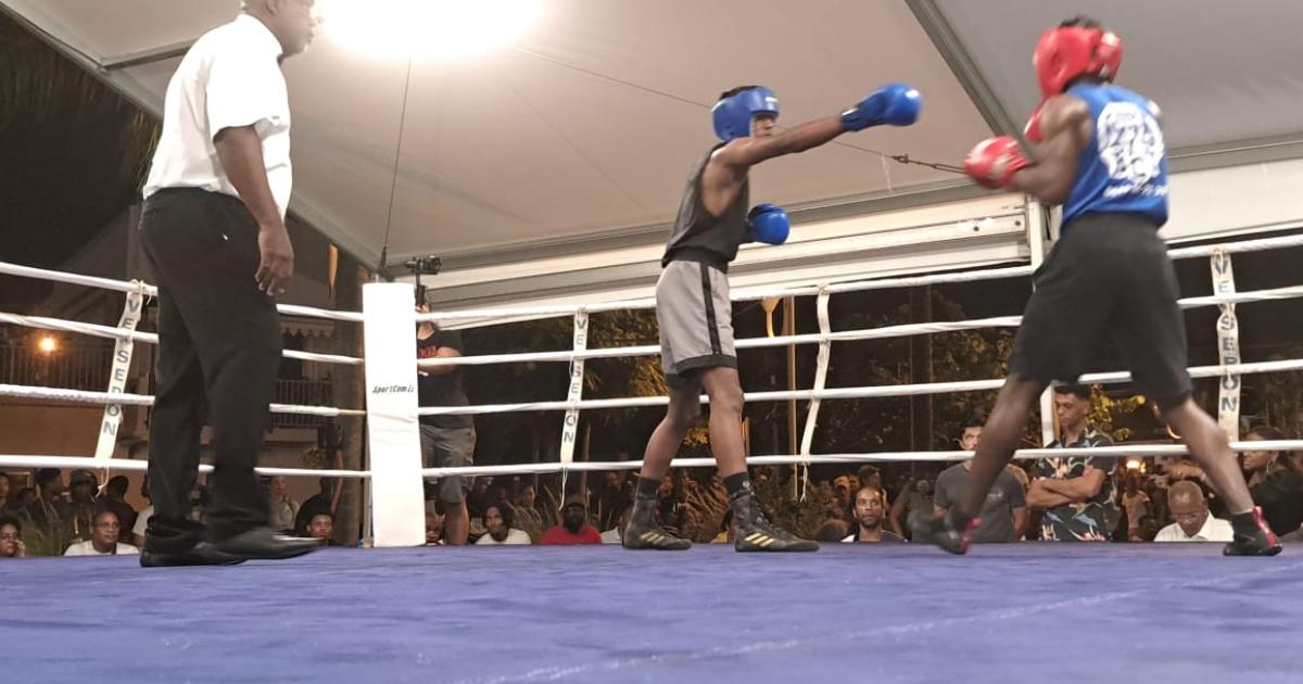 Le « Martinique Boxing Show » a suscité un bel engouement