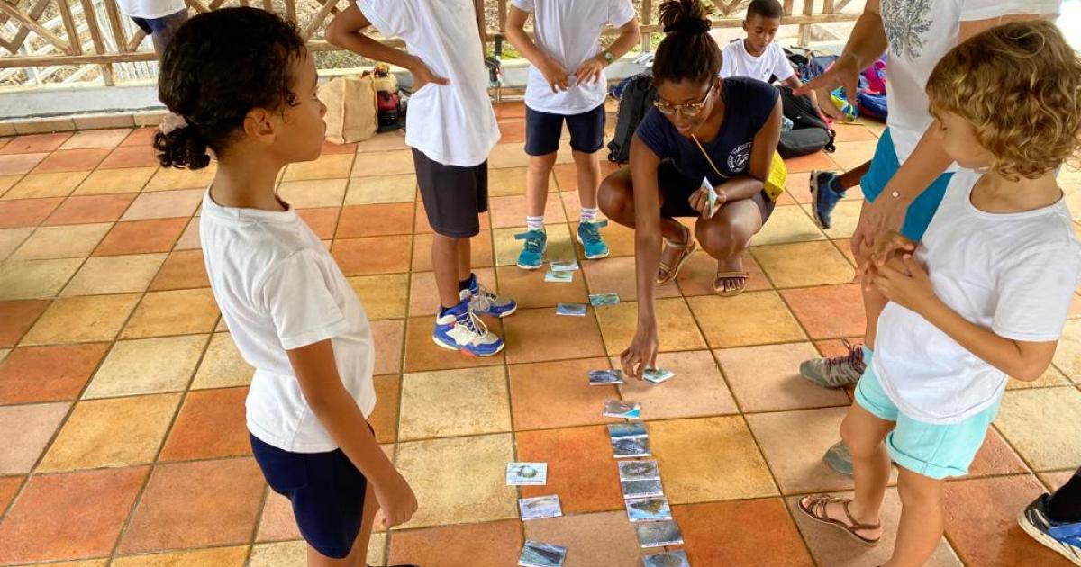 Près de 200 élèves de primaire et de collège réunis pour protéger les tortues marines