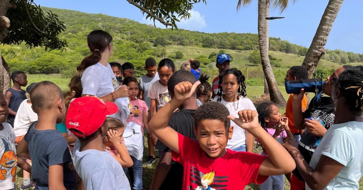     





An Dlo La : une autre façon d'apprendre 




