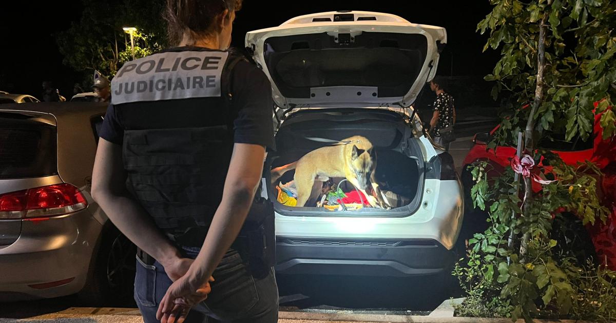 Jugé pour 3 coutelas et 2 armes à feu dans la voiture