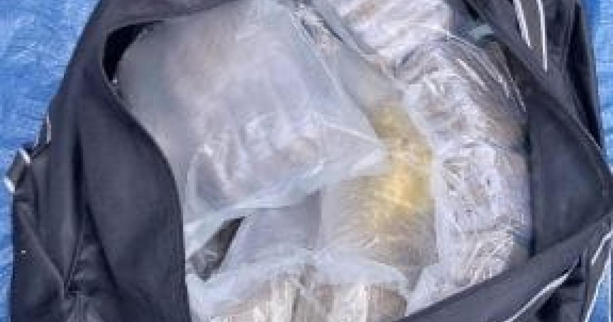 Une nouvelle saisie de 151 kilos de résine de cannabis en Martinique