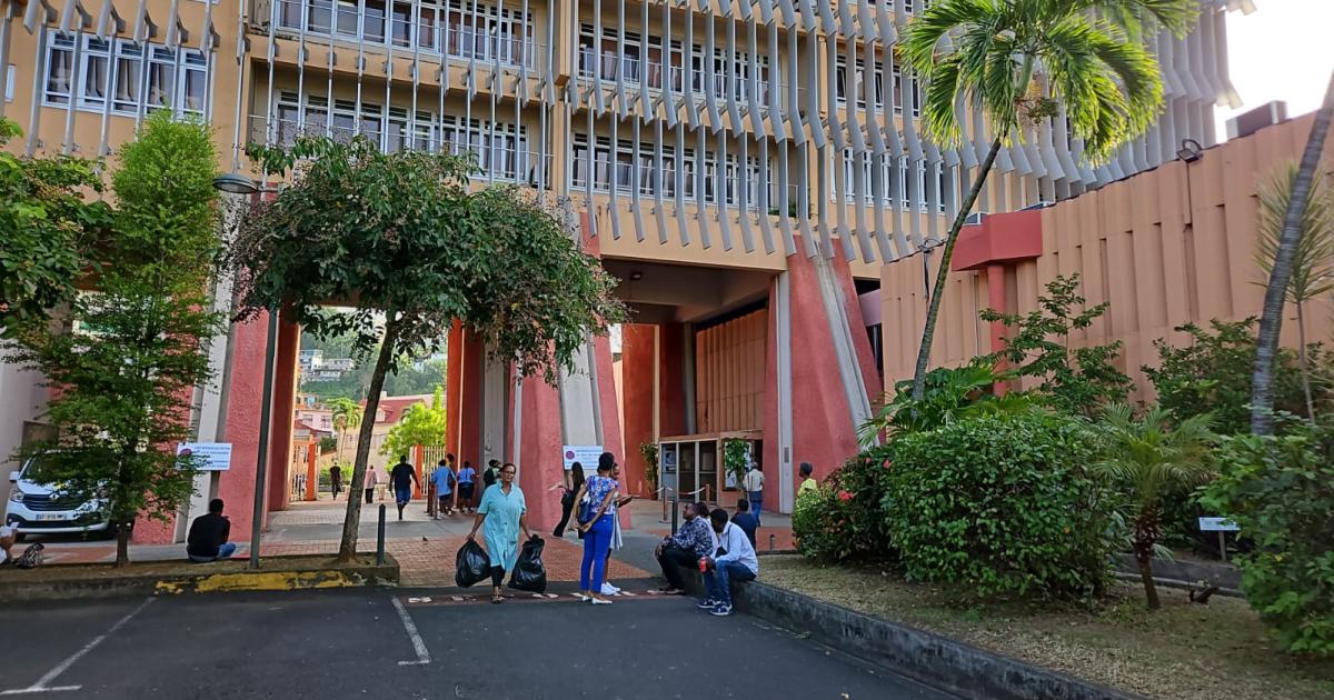 Appel à la grève nationale : risque de perturbations dans les écoles à Fort-de-France