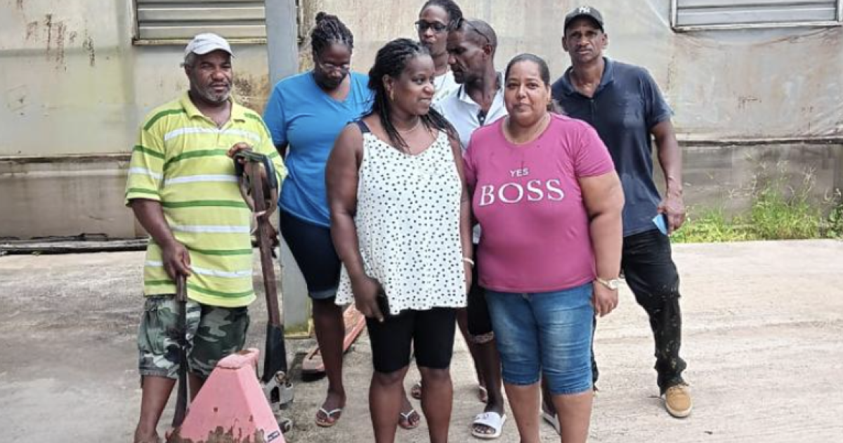 Leur employeur parti au Panama, les employés des « Serres » au Morne-Rouge se retrouvent sans rien