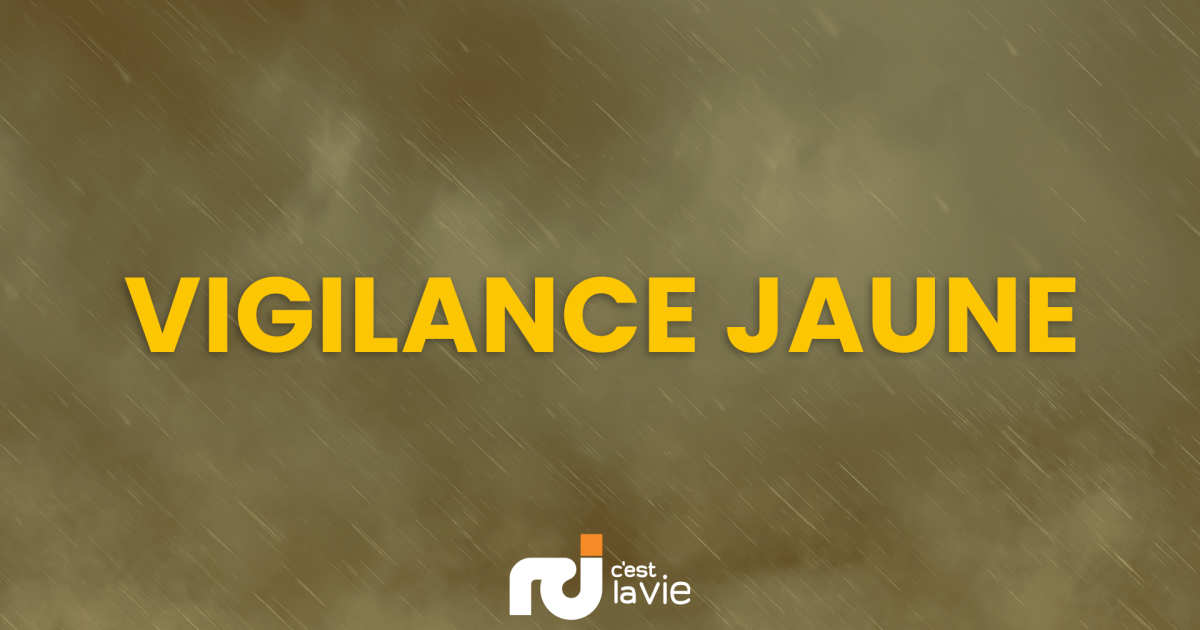     





Fortes pluies, orages et vents violents : la Martinique encore en vigilance jaune





