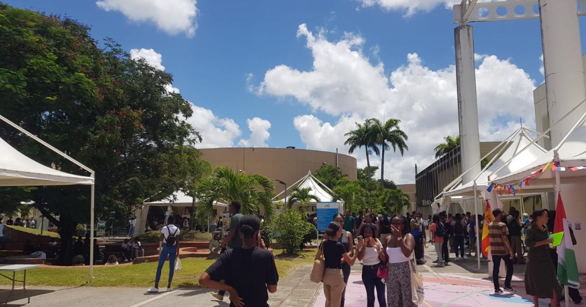 Précarité étudiante : la vie chère frappe durement les étudiants en Martinique