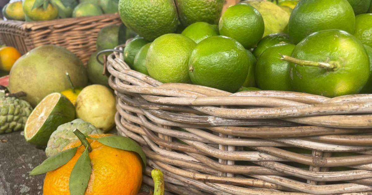 Plusieurs quartiers de Fort-de-France sensibilisés à une meilleure alimentation