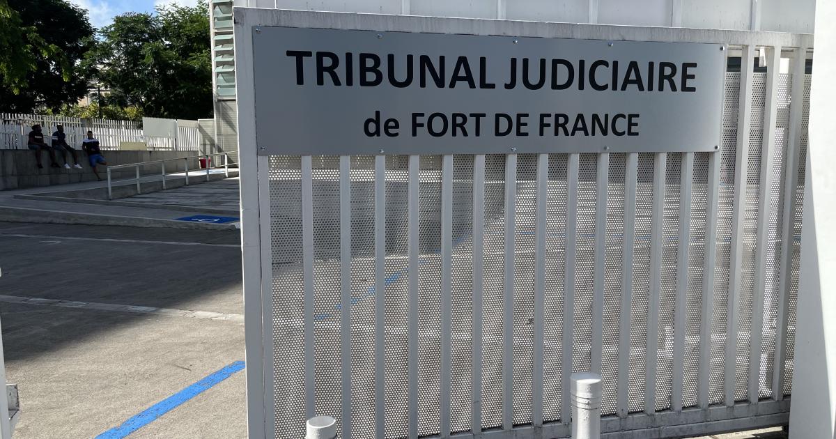     





Soupçons de détournements de fonds au CDAD : l’enquête du PNF qui secoue le palais de Justice de Fort-de-France




