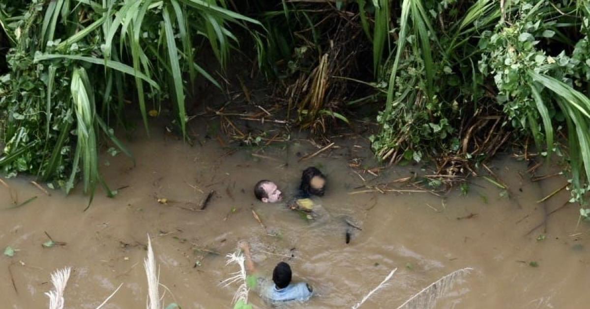 Les gendarmes sautent dans la mangrove et… sauvent un trafiquant présumé