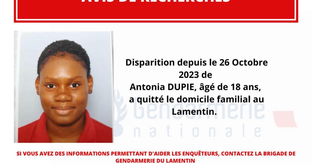Appel à témoins : qui a vu Antonia Dupie ?