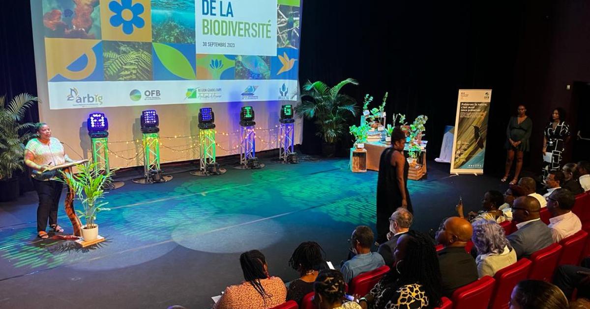 Biodiversité : 12 communes de Guadeloupe récompensées
