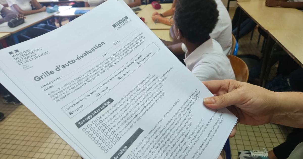 Harcèlement scolaire : le questionnaire d’auto-évaluation distribué au collège de Ducos