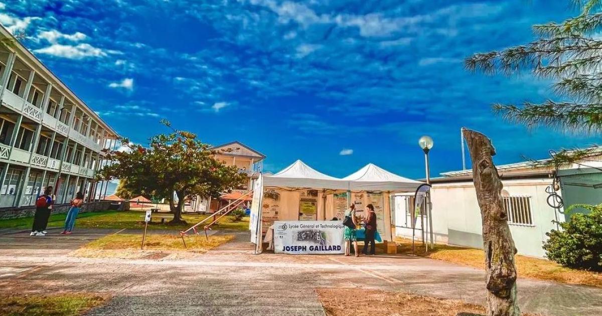 Les agents territoriaux suspendent leur mouvement au lycée Joseph Gaillard