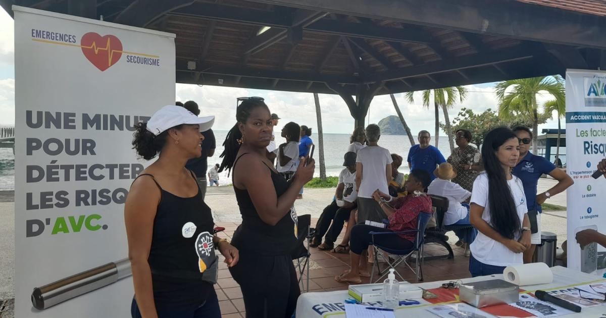Risques d’AVC, 800 personnes concernées tous les ans en Martinique