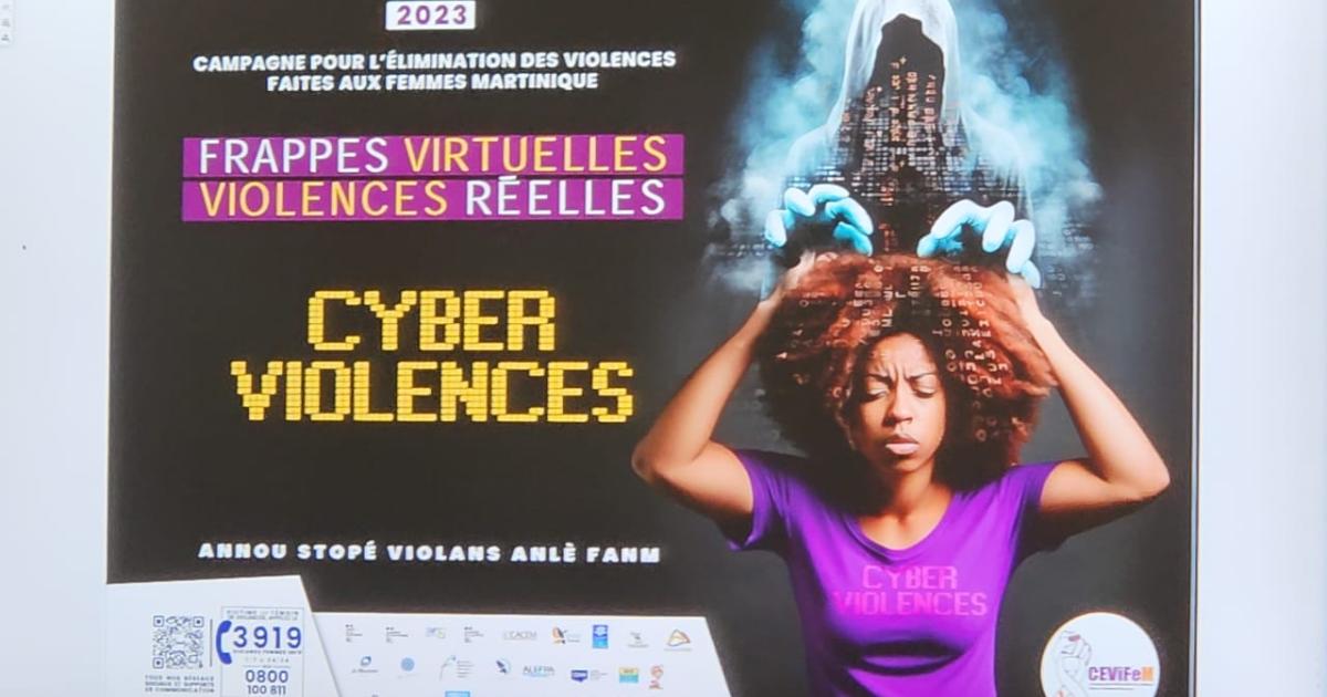 Elimination des violences faites aux femmes : les frappes virtuelles au cœur de la campagne