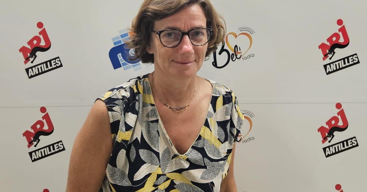 Agnès Firmin Le Bodo, une ministre à « l’écoute » des professionnels de santé de Martinique