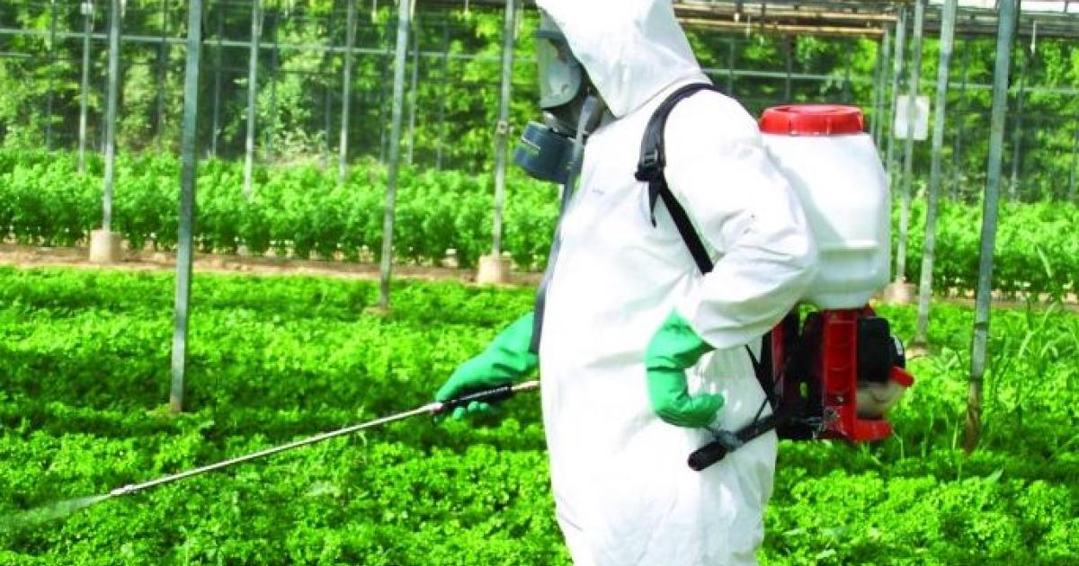 Le glyphosate autorisé pour 10 ans de plus : « cela reste un produit dangereux »