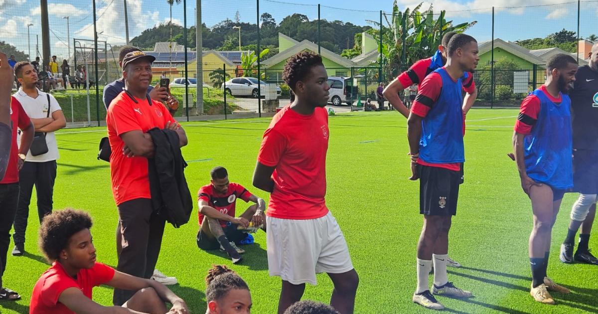 Coupe de France : le Golden Lion s’envole aujourd’hui pour défier Lille