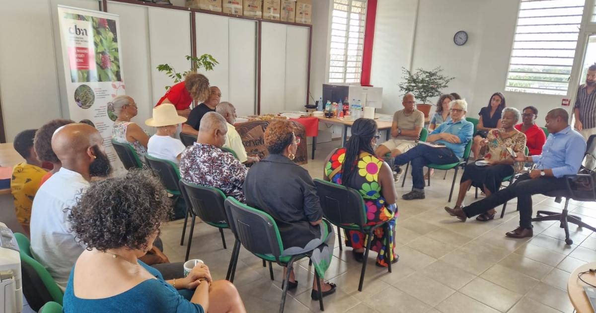 Le Conservatoire botanique de Martinique rend hommage à des figures emblématiques