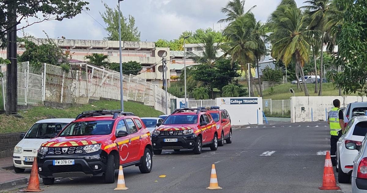 Une alerte à la bombe au collège Trianon du François