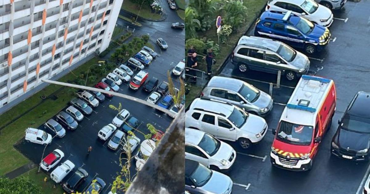 Le corps d'une femme retrouvé au pied d'un immeuble à la cité Ozanam