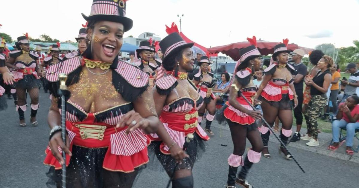     





[EN IMAGES] Goyave réussit sa parade du carnaval !




