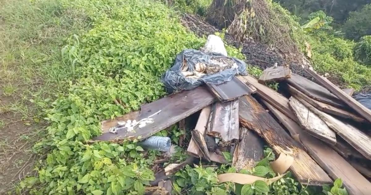 Des débris de cercueils jetés dans une bananeraie à Saint-Joseph