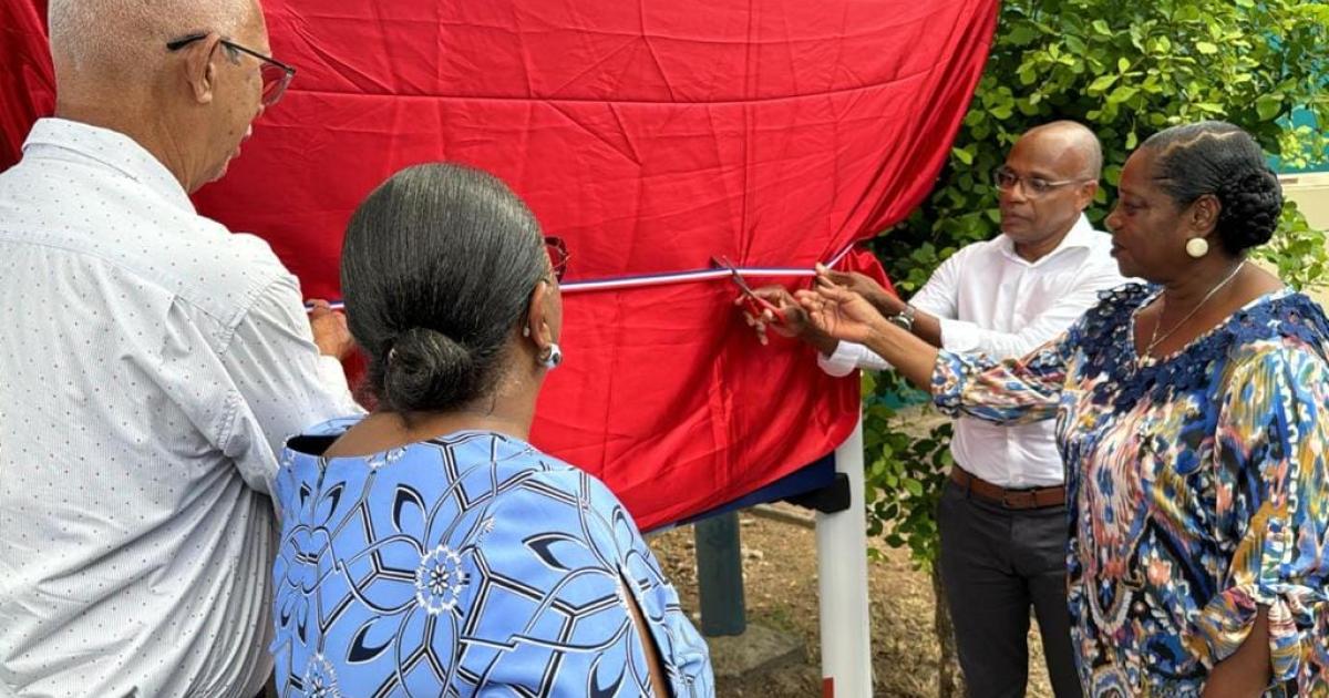Le réseau de transport du Sud Basse-Terre se modernise