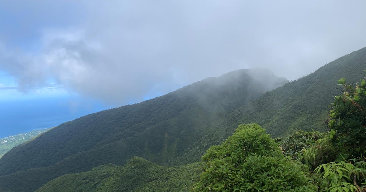 304 séismes sous la Soufrière : la séquence sismique est terminée