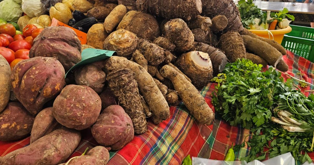Revente de produits agricoles : 400 kilos de marchandise détruits après des contrôles