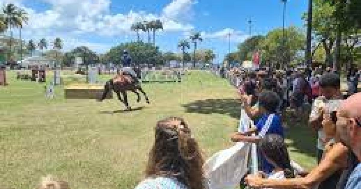 La 7ème édition du Matinik Chouval Show à Fort-de-France
