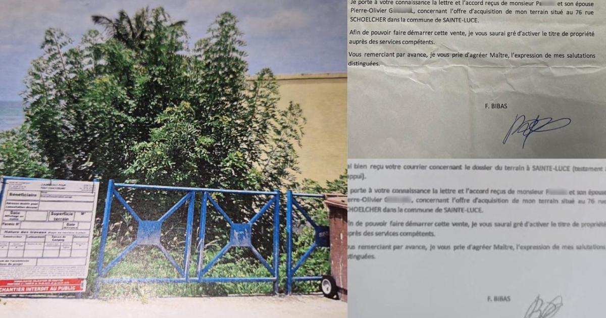 Terrain de Fernand Bibas : « le document qui circule est faux, l’original est dans mon étude »