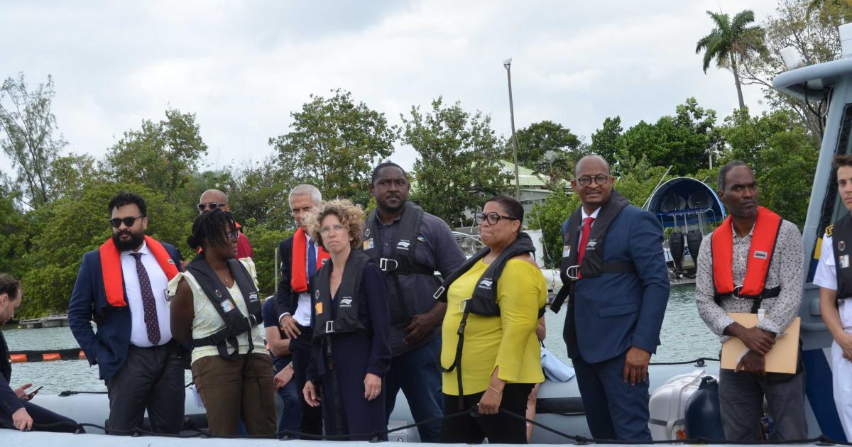     





Lutte contre les sargasses en Guadeloupe : l’Etat signe deux conventions avec Petit-Bourg et Goyave




