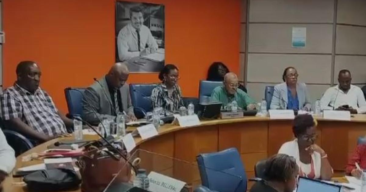     





Election du maire du Gosier, Guy Baclet, le candidat vaincu dénonce des irrégularités





