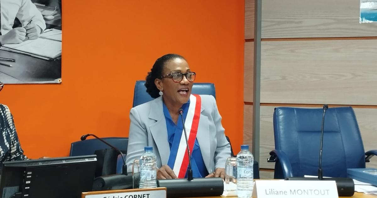 L’élection de Liliane Montout comme maire du Gosier est annulée !